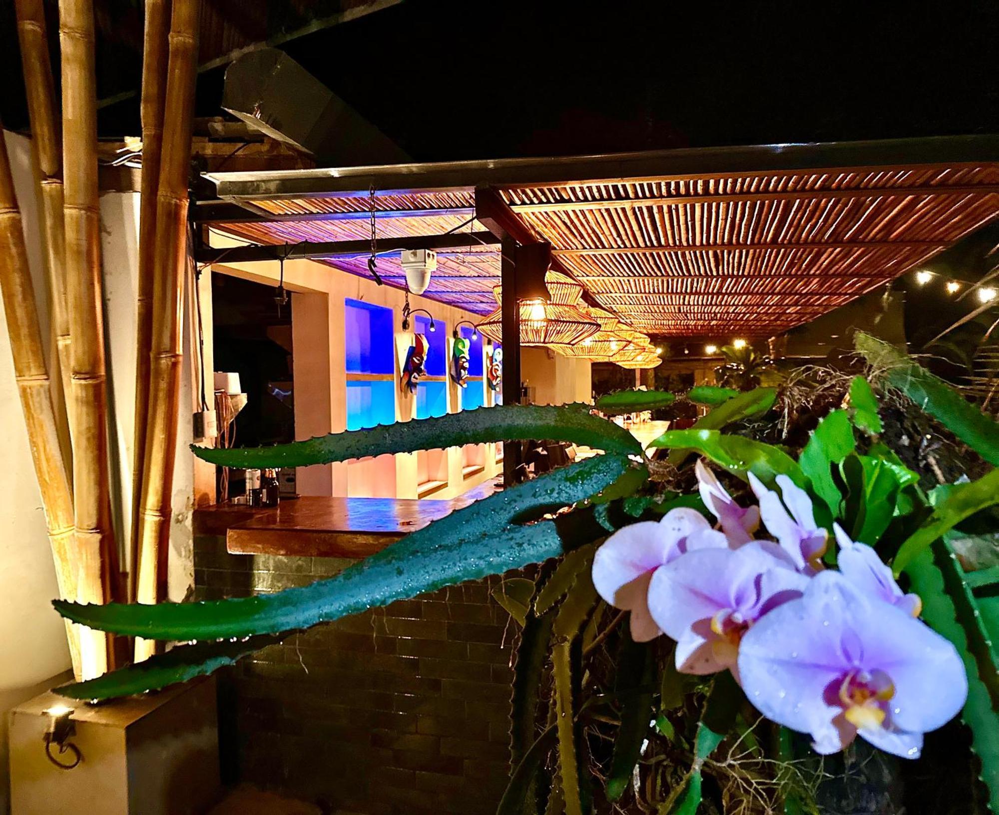 Curiol Boutique Hotel & Lounge Потреро Екстер'єр фото