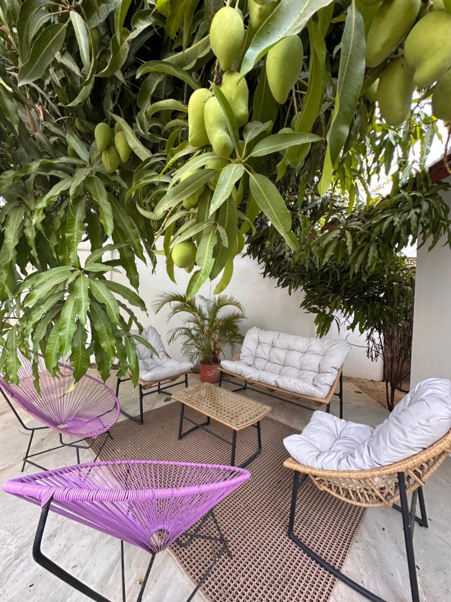 Curiol Boutique Hotel & Lounge Потреро Екстер'єр фото
